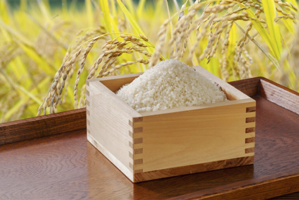 全国でも珍しい「市場が扱う農家直送米」そしてそれを使った